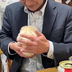 写真